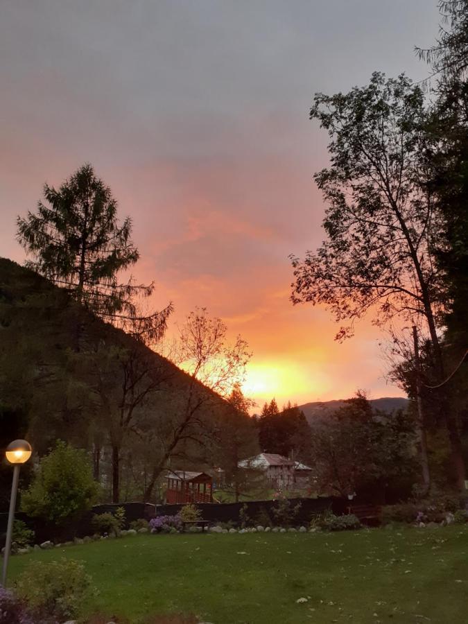 Soggiorno Vacanze Stella Alpina Тему Экстерьер фото