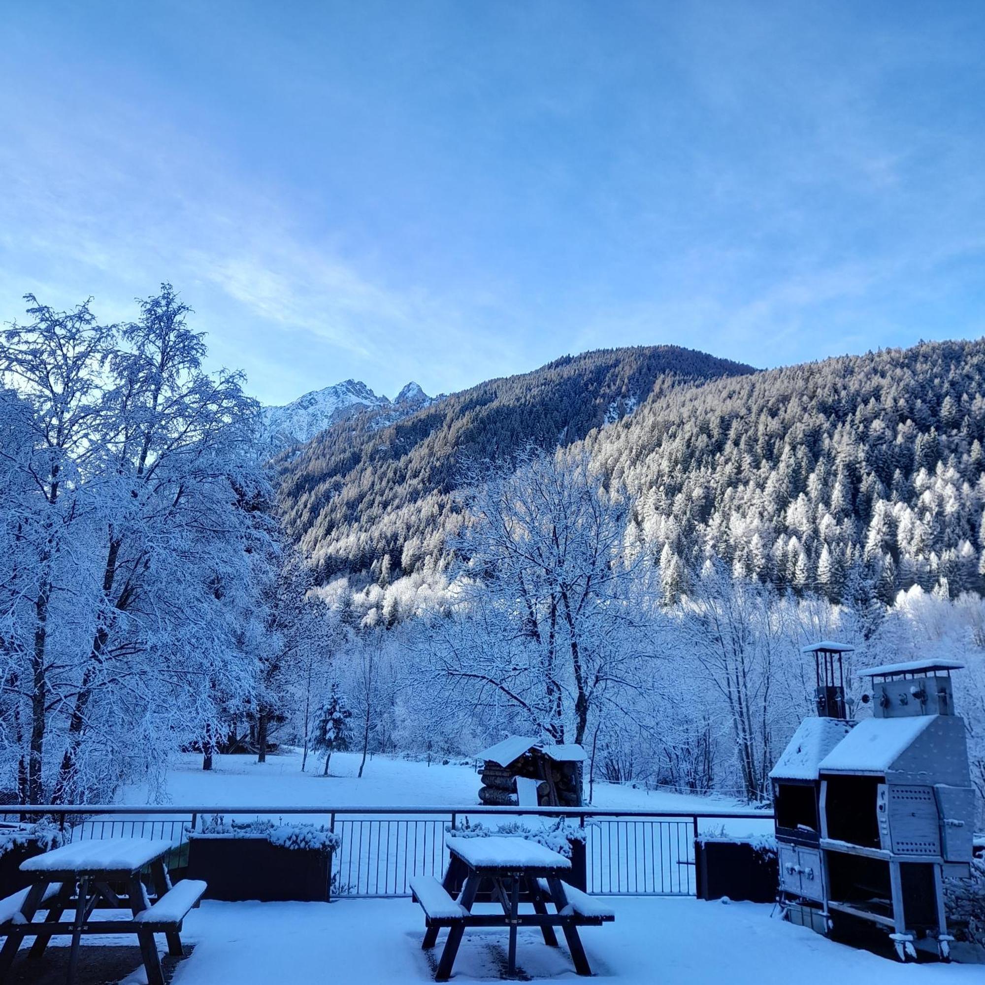 Soggiorno Vacanze Stella Alpina Тему Экстерьер фото