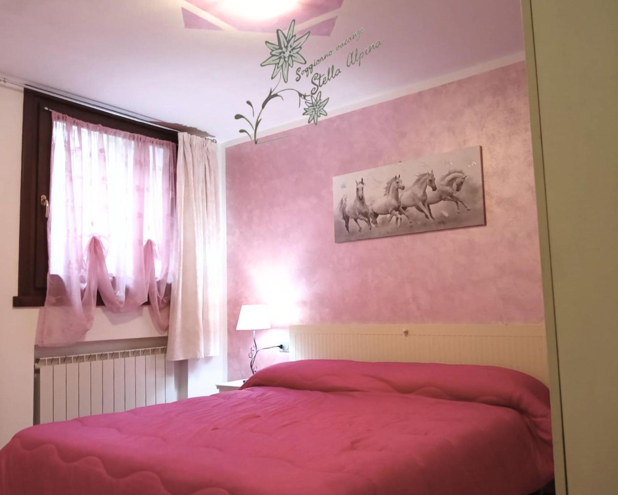 Soggiorno Vacanze Stella Alpina Тему Номер фото
