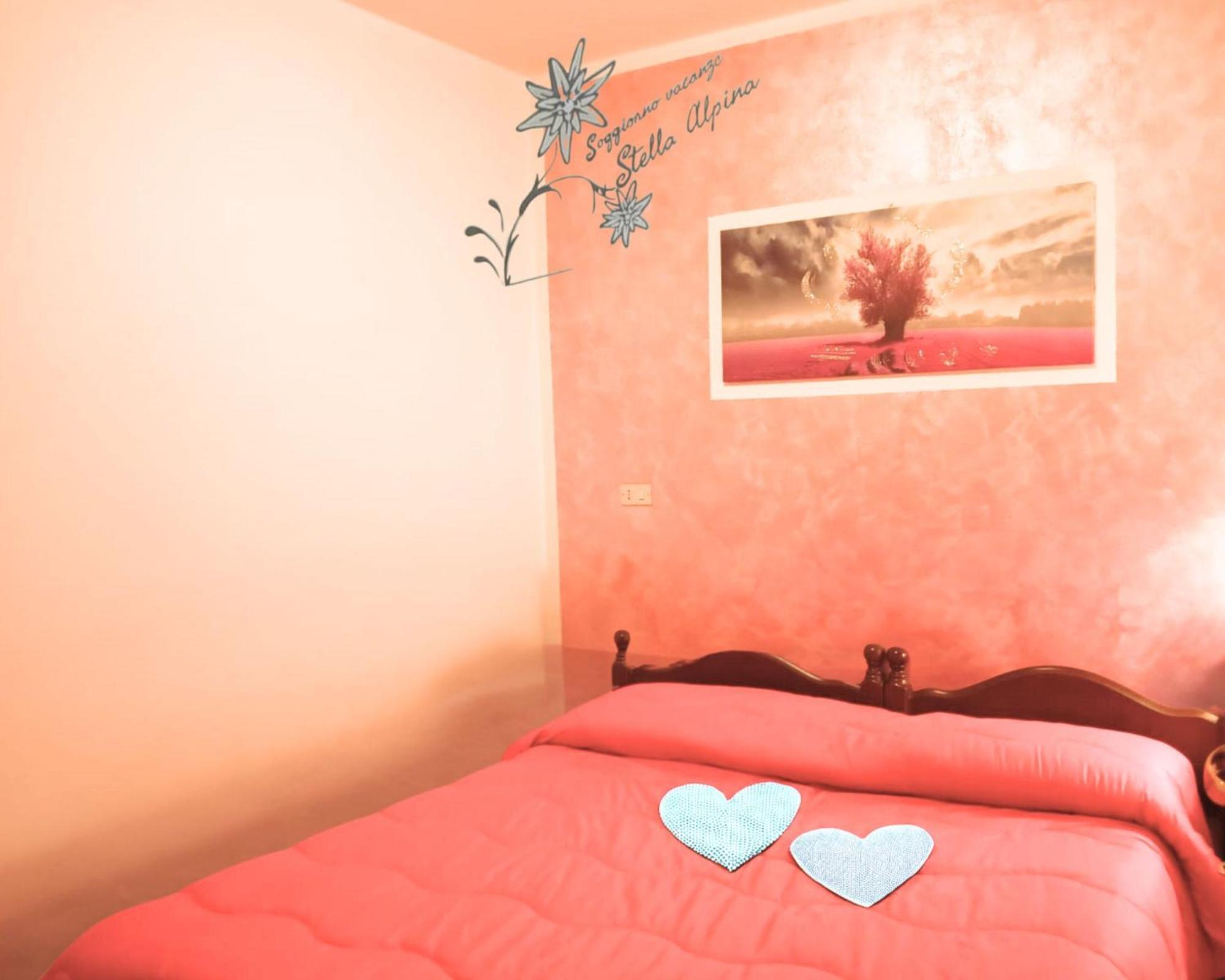Soggiorno Vacanze Stella Alpina Тему Номер фото