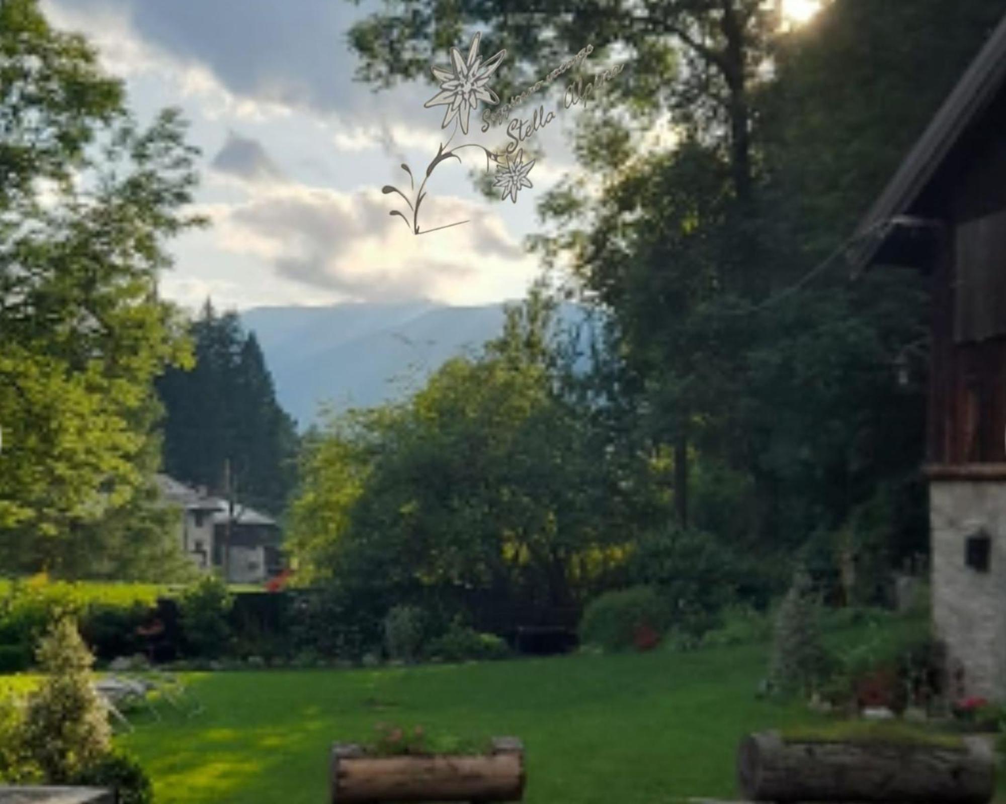 Soggiorno Vacanze Stella Alpina Тему Номер фото