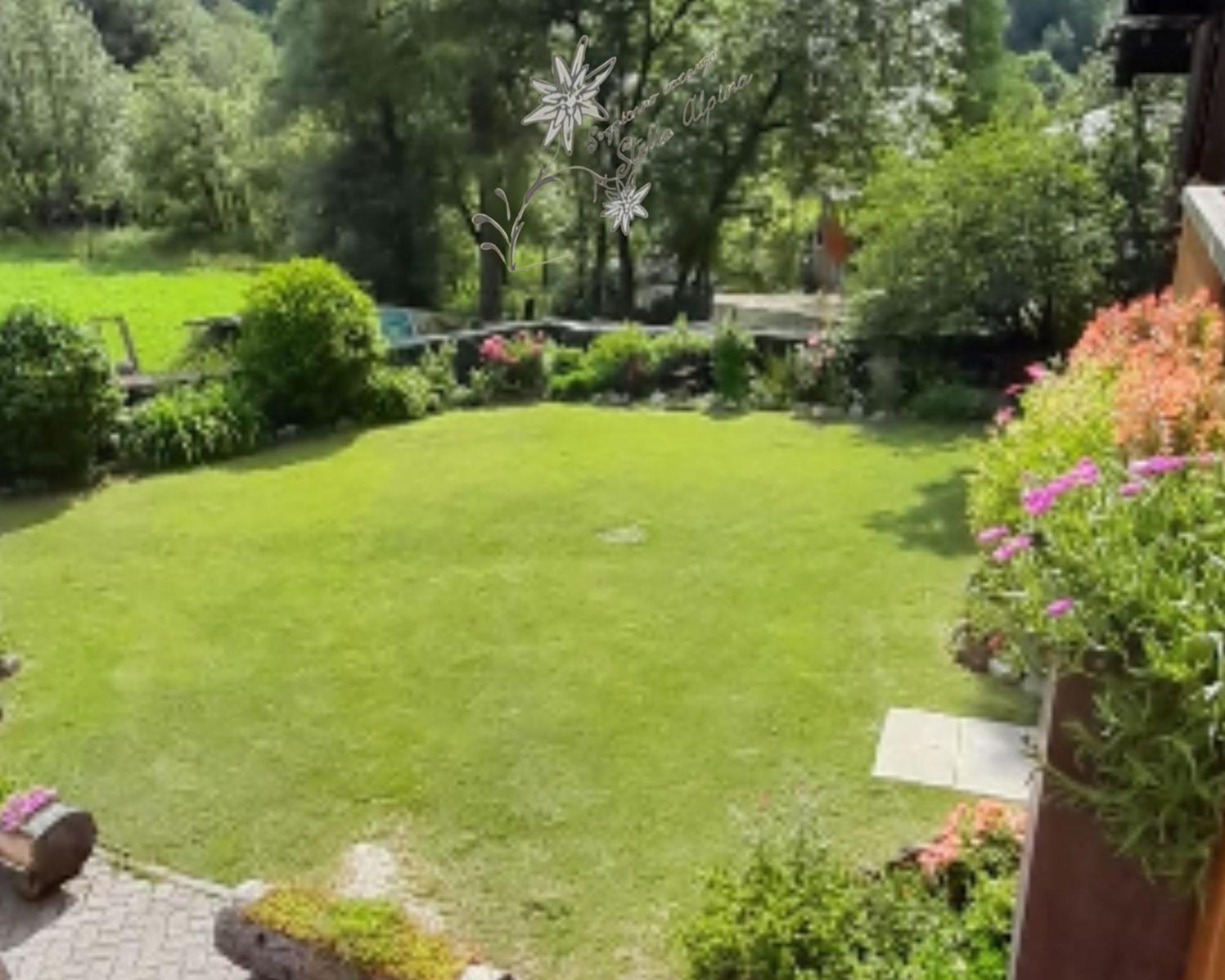 Soggiorno Vacanze Stella Alpina Тему Номер фото