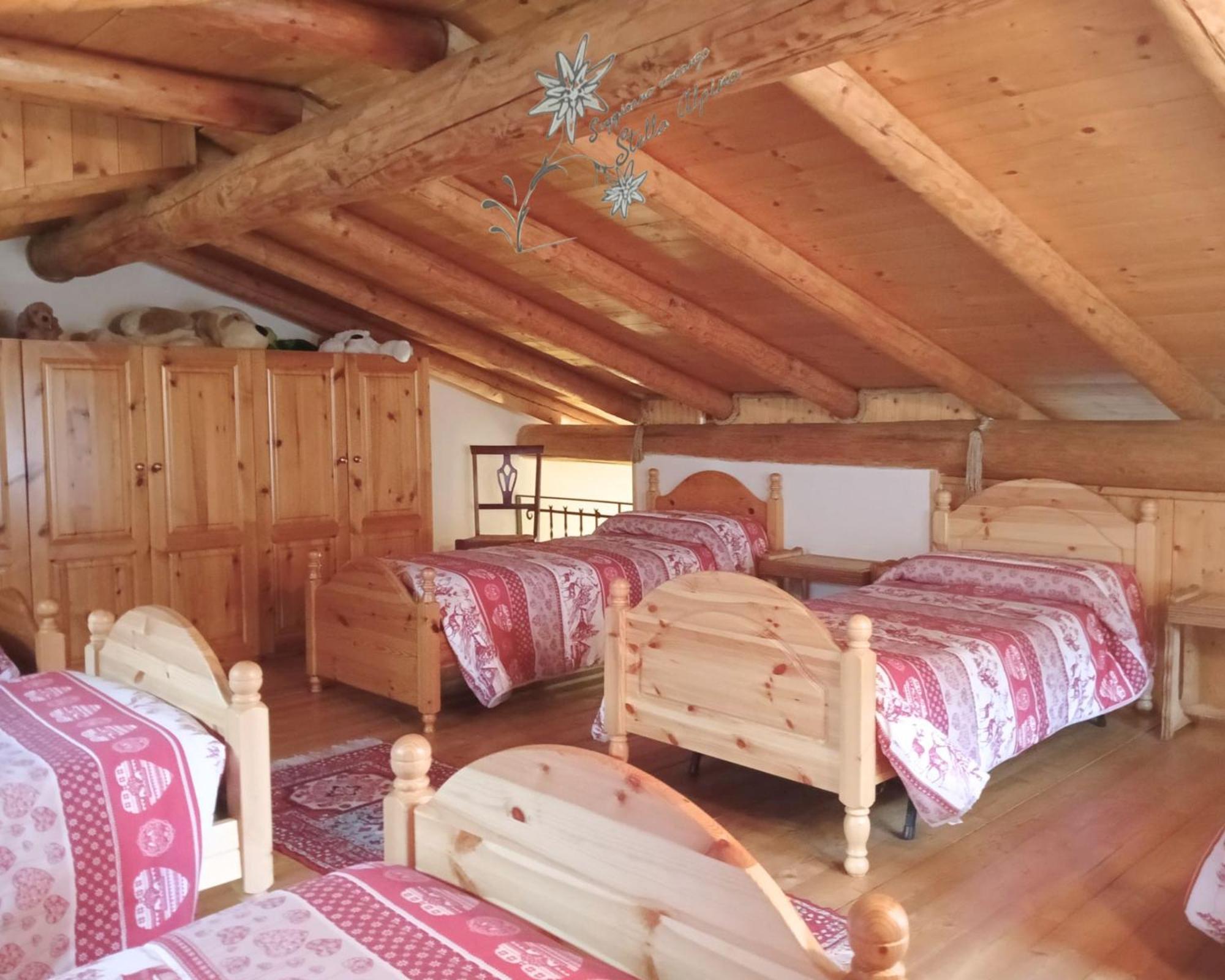 Soggiorno Vacanze Stella Alpina Тему Номер фото