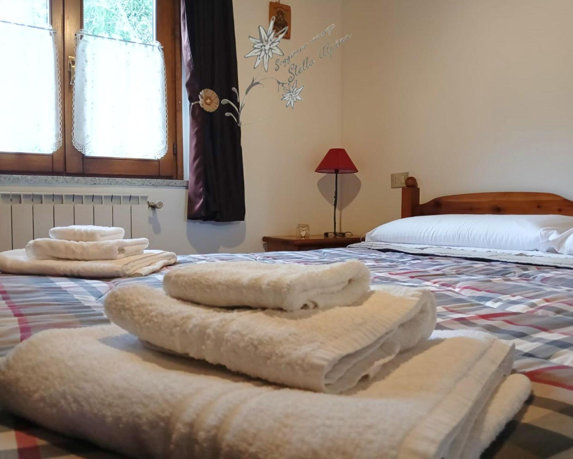 Soggiorno Vacanze Stella Alpina Тему Номер фото