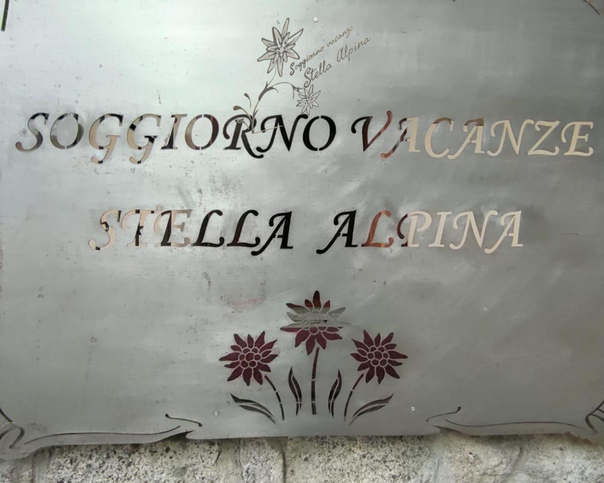 Soggiorno Vacanze Stella Alpina Тему Экстерьер фото