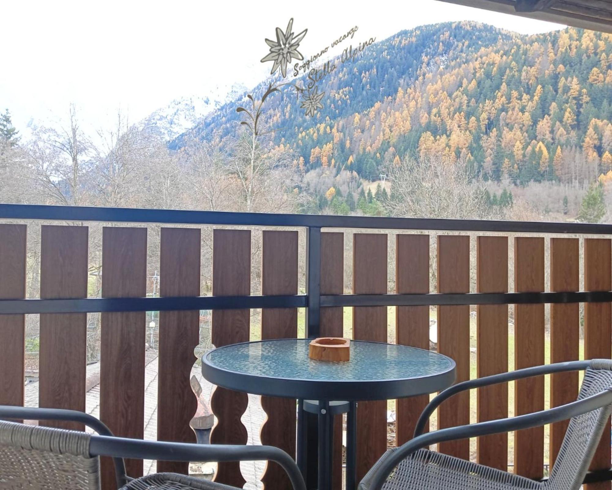 Soggiorno Vacanze Stella Alpina Тему Номер фото